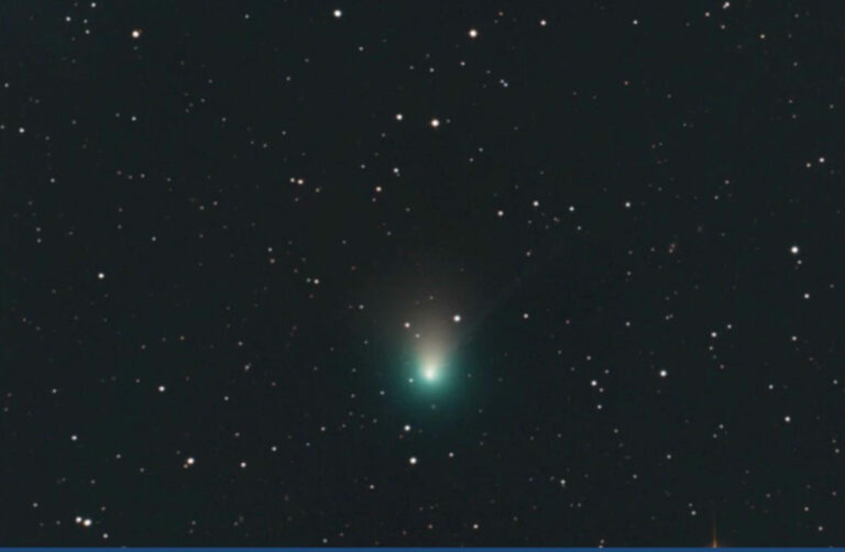019(2)